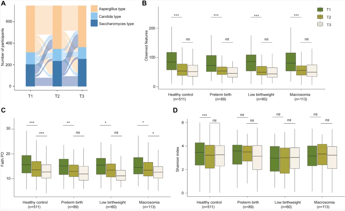 Figure 3. The shifts of gut fungal enterotypes and the dynamics of gut fungal α diversity during pregnancy.